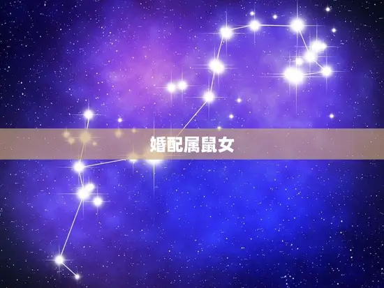 属虎男与十二生肖婚配(组合)