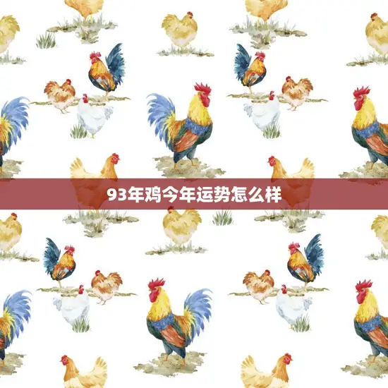 93年鸡今年运势怎么样(2023年鸡儿运势大揭秘)