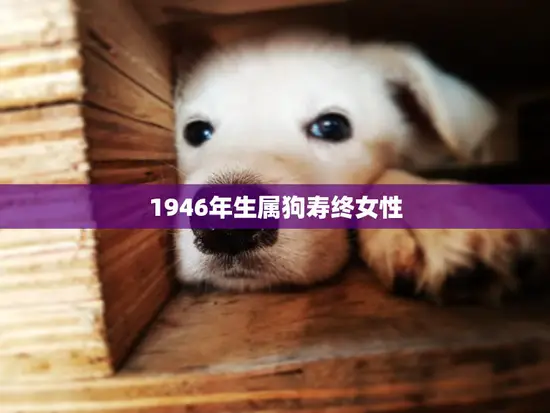 1946年生属狗寿终女性(回顾一生坚韧不拔乐观向前)