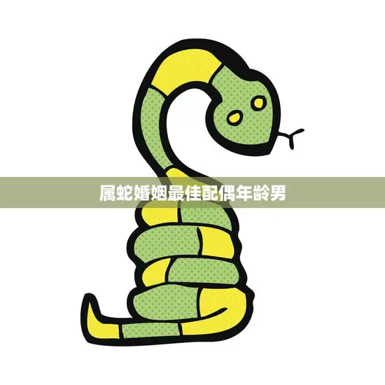 属蛇婚姻最佳配偶年龄男(如何选择)
