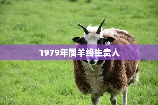 1979年属羊终生贵人(幸运星降临事业财运双丰收)