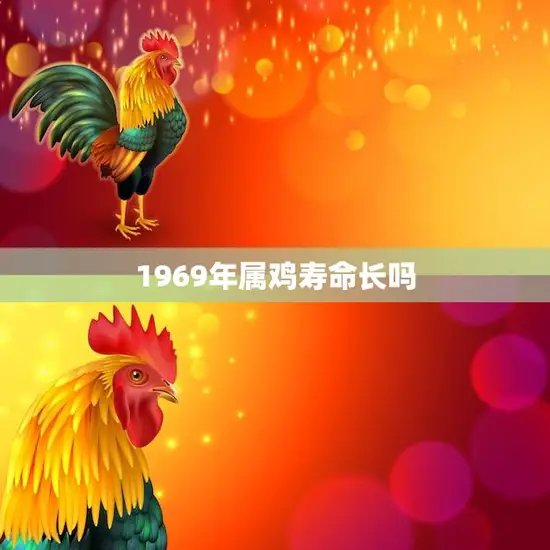 1969年属鸡寿命长吗(解密属鸡人的寿命究竟有多长)