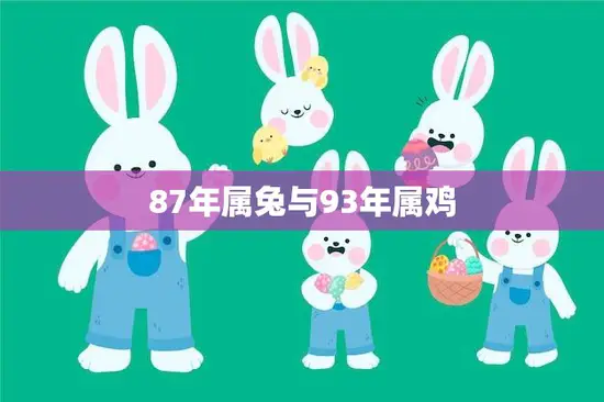 87年属兔与93年属鸡(兔鸡配对缘分天定)