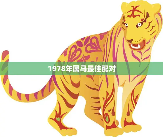 1978年属马最佳配对(马龙虎跃与谁最般配)