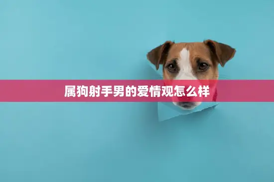 属狗射手男的爱情观怎么样(探究自由与责任的平衡)