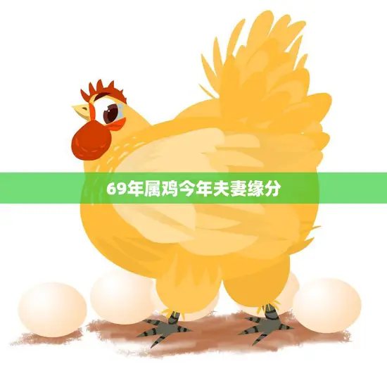 69年属鸡今年夫妻缘分(如何提升)