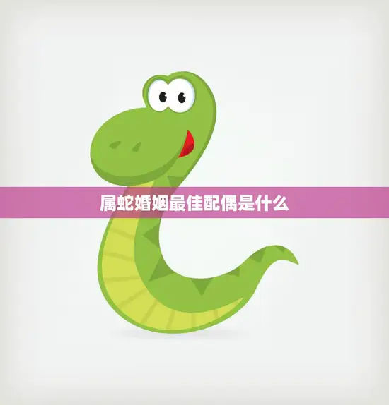 属蛇婚姻最佳配偶是什么(如何选择最适合的伴侣)