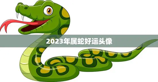 2023年属蛇好运头像(如何选择最佳头像)