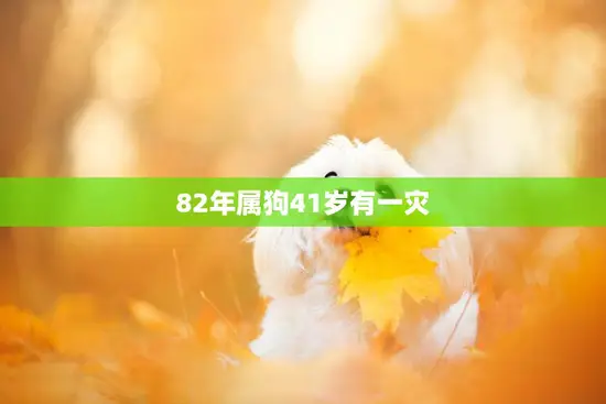 82年属狗41岁有一灾(如何化解)