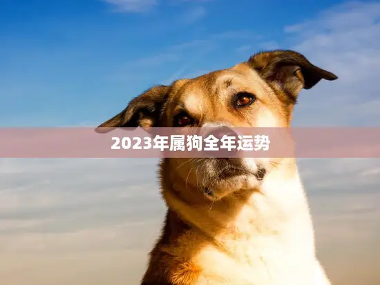 2023年属狗全年运势(狗年大展宏图财运亨通)
