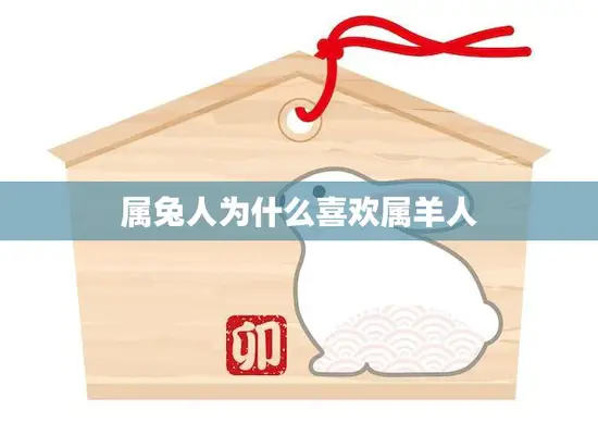 属兔人为什么喜欢属羊人(探究星座配对还是性格相投)