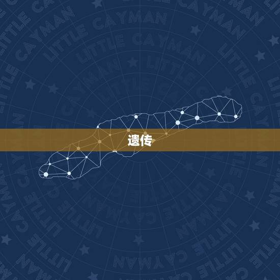 46年属狗人寿命多长(介绍狗年出生的人寿命长短分析)