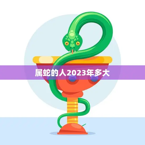 属蛇的人2023年多大(探寻属蛇人的年龄与命运)
