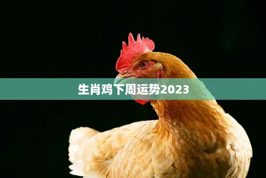 生肖鸡下周运势2023(好运连连财运亨通)