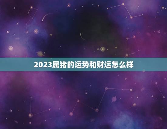 2023属猪的运势和财运怎么样(猪年财运旺盛事业顺利)