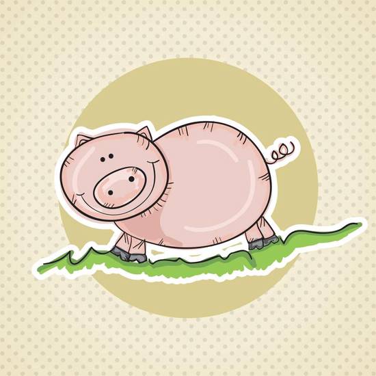 属猪的人2023年多大(猪年再临猪宝宝们即将迎来36岁的大关键)