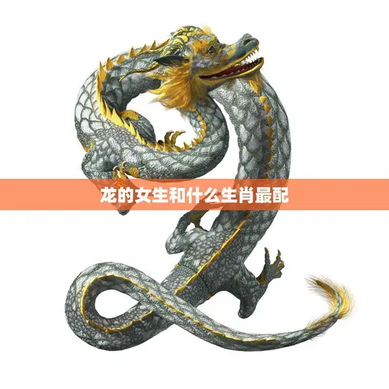 龙的女生和什么生肖最配(最佳配对大揭秘)