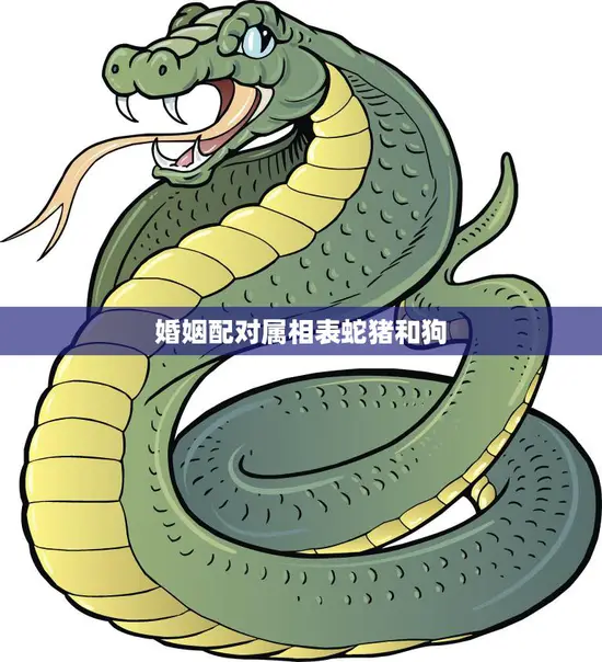 婚姻配对属相表蛇猪和狗(如何选择最佳伴侣)