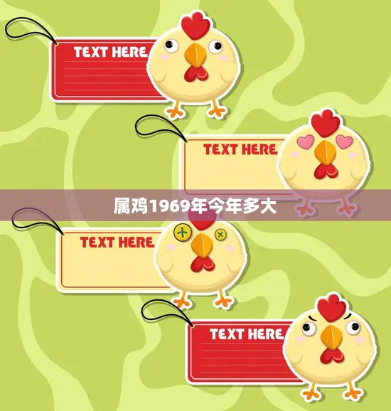 属鸡1969年今年多大(如何算出你的属相年龄)