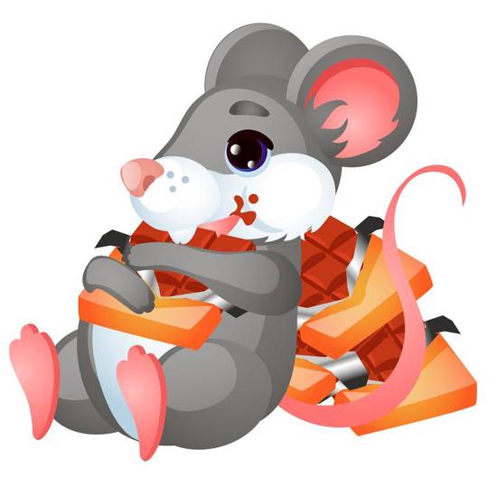 96年的鼠女婚姻顺利吗(幸福的婚姻之路)