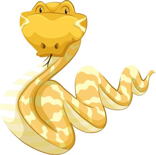 属蛇与什么属相相克家庭(如何避免冲突)