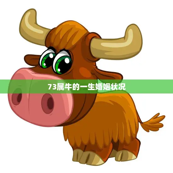73属牛的一生婚姻状况(幸福婚姻的秘诀是什么)
