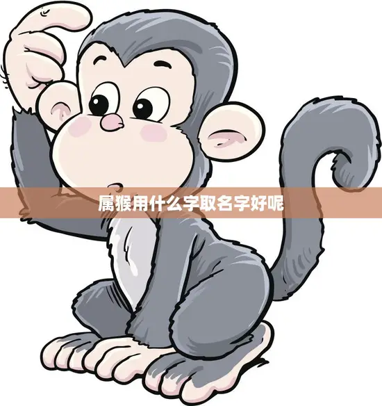 属猴用什么字取名字好呢(如何为属猴宝宝取名字)