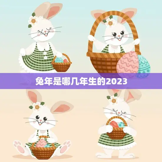 兔年是哪几年生的2023(迎接兔年的到来了解兔年的历史和文化意义)