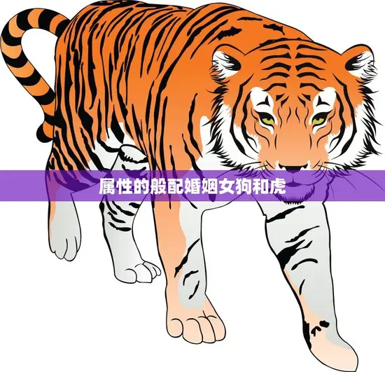 属性的般配婚姻女狗和虎(天生一对的完美组合)