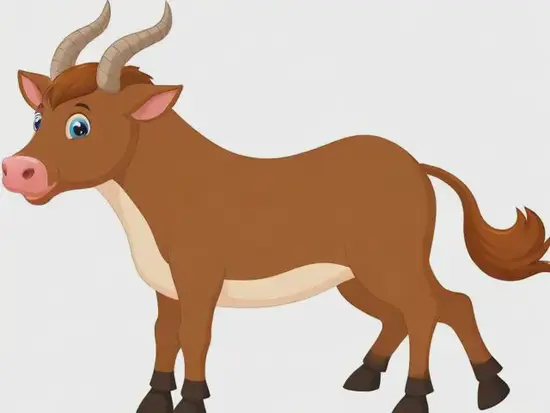 12生肖出生日期对照表：快速查询与性格解析