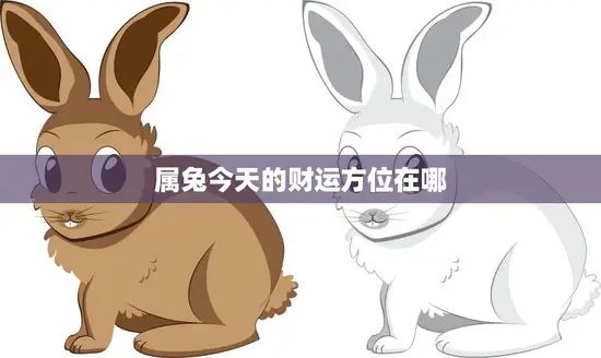 属兔今天的财运方位在哪(探寻财富宝)