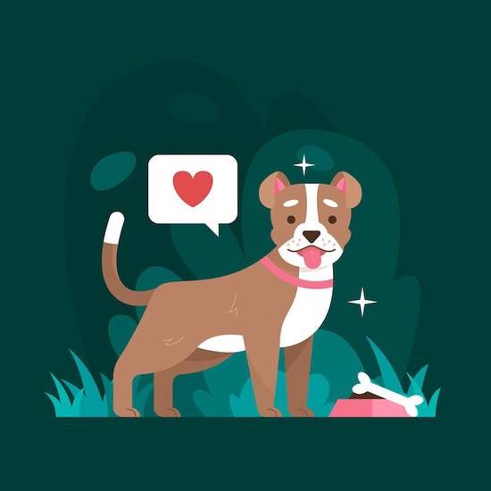 属狗的今年多大岁数虚岁(如何计算)