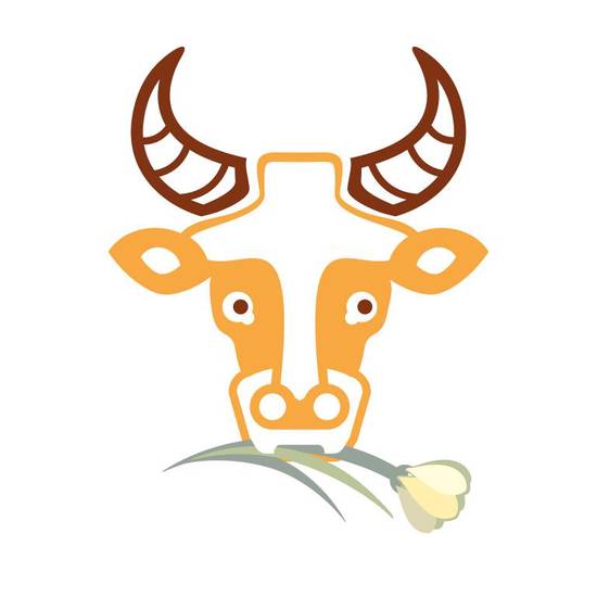 属牛1985什么命五行(解析五行缺什么如何化解)