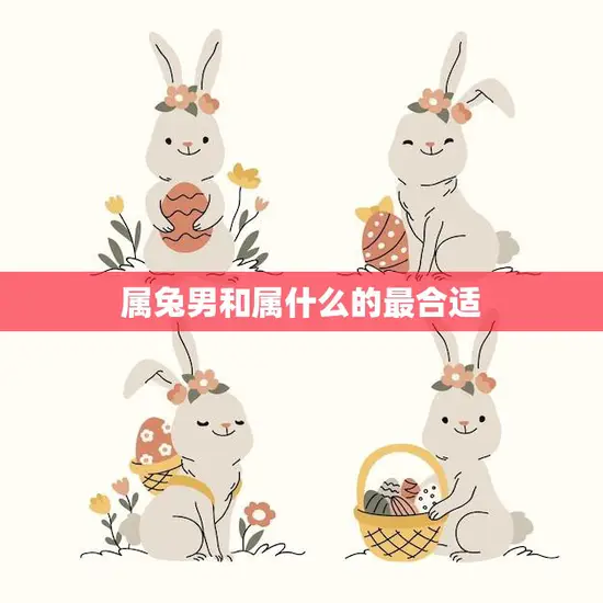 属兔男和属什么的最合适(如何选择最佳配对)