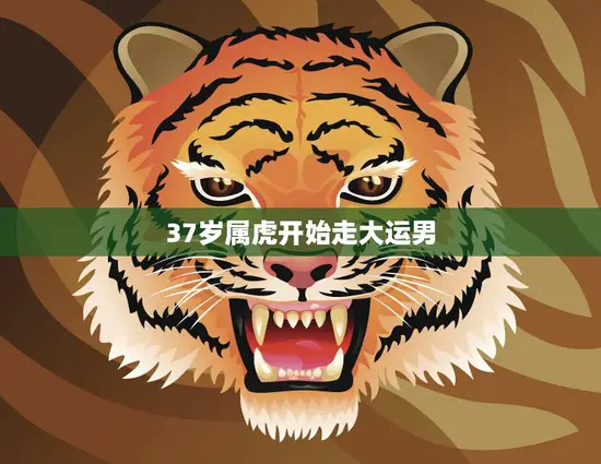 37岁属虎开始走大运男(迎来人生转机)
