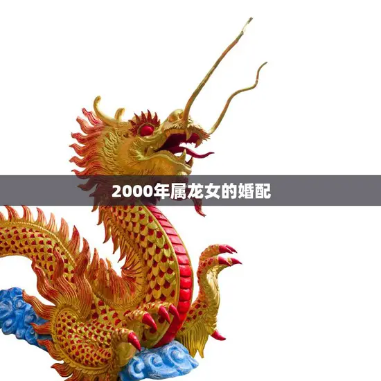 2000年属龙女的婚配(如何选择最佳伴侣)