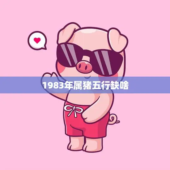 1983年属猪五行缺啥(探寻属猪人的五行缺失之谜)