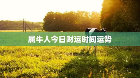 属牛人今日财运时间运势(财富时机正当)