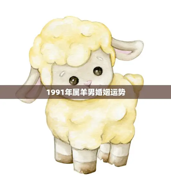 1991年属羊男婚姻运势(如何把握婚姻机会)