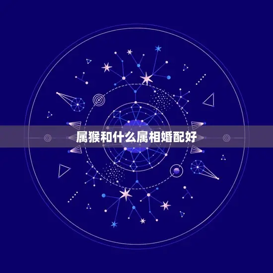 属猴和什么属相婚配好(婚配组合大介绍)