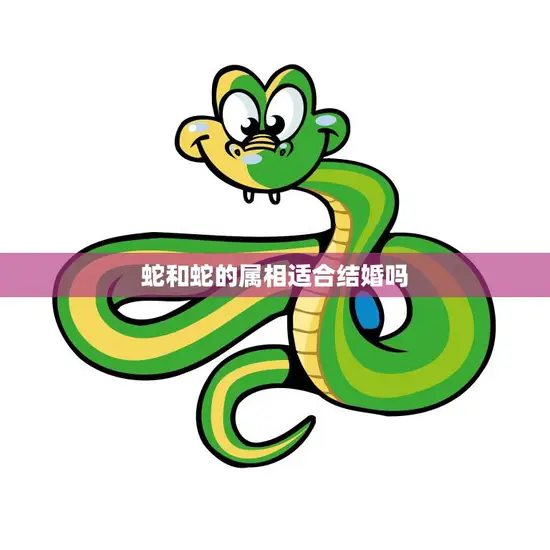 蛇和蛇的属相适合结婚吗(探讨同属相恋爱的优缺点)
