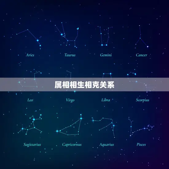 1980年猴婚配属相(猴猴配还是猴鸡配)