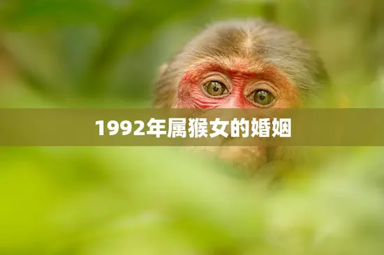 1992年属猴女的婚姻(如何避免婚姻危机)