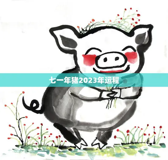 七一年猪2023年运程(顺风顺水财源滚滚来)