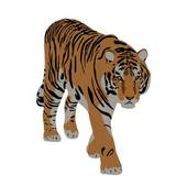 生肖虎的正缘是什么时候(揭秘生肖虎的命运轨迹)