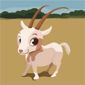 79年属什么的生肖什么命(解析属羊的人命运如何)