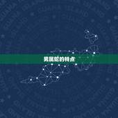 男属蛇不宜配什么属相(介绍十二生肖配对中的禁忌)