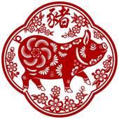 猪今年多大年龄2023(猪年龄计算方法解析)