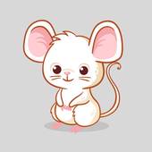 属鼠最忌讳什么属相的人(揭秘十二生肖中最不合适的配对)