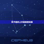 双子的上升星座查询表(掌握你的人际关系优势)